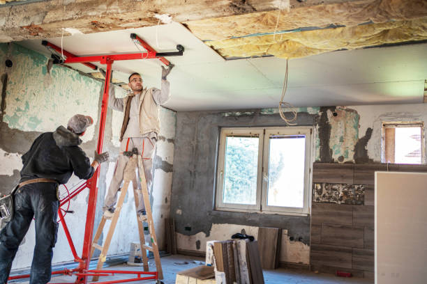 Best Insulation Maintenance and Repair in Jacksonville, NC